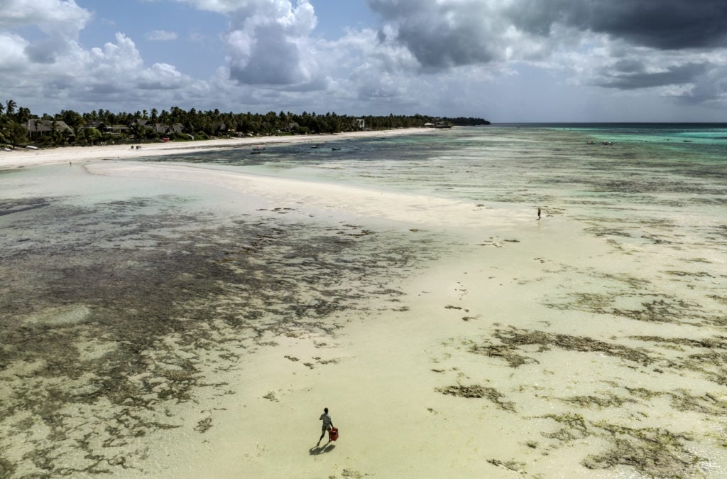 Daily life in Zanzibar, Tanzania